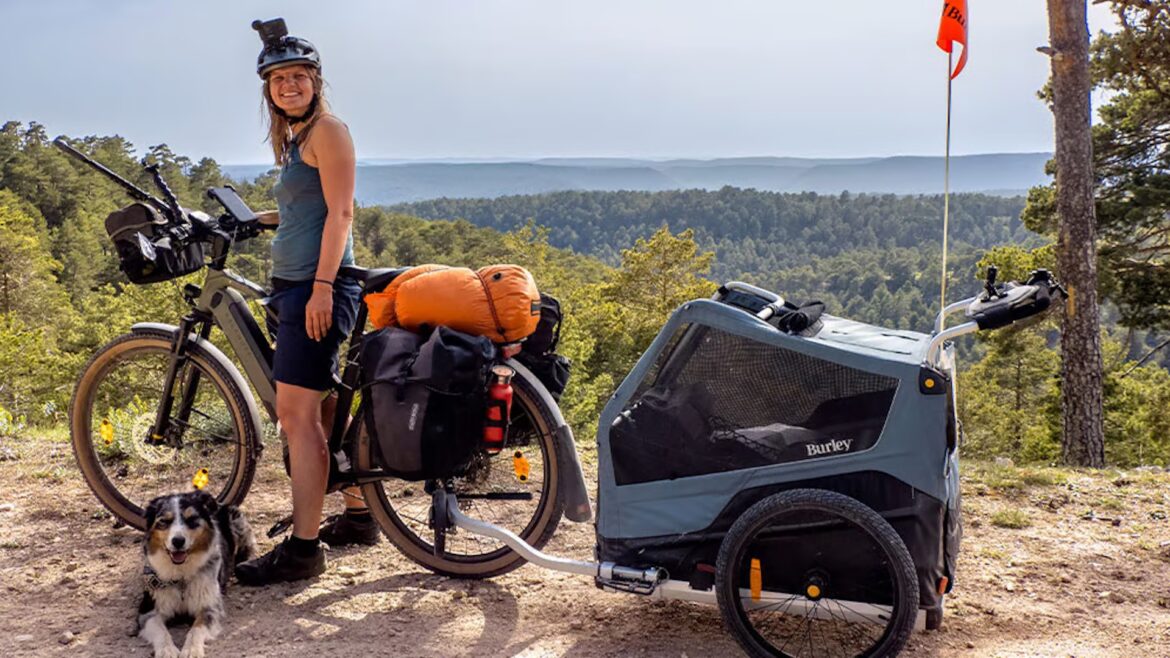 Der Siegeszug des E-Bikes