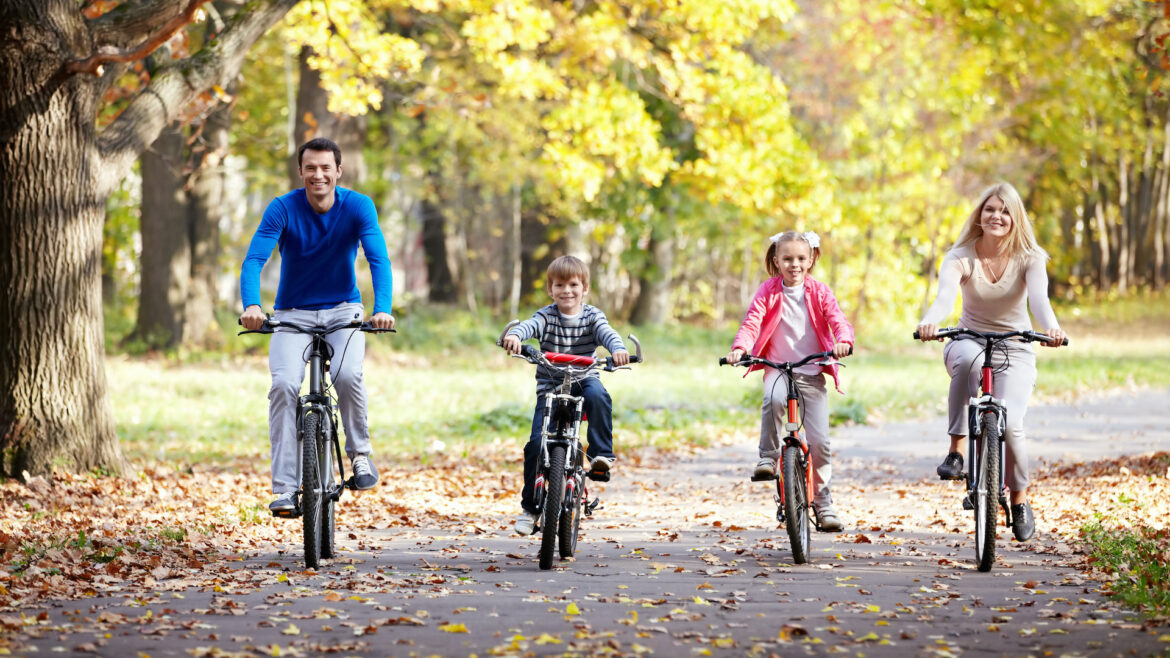 Fahrrad e-Bike Hildesheim Kinderrad